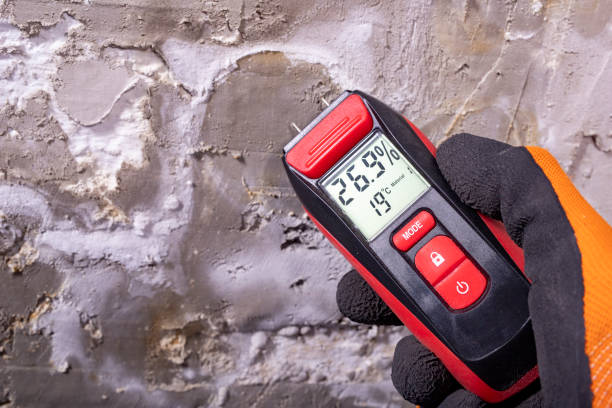 Best Commercial Mold Removal  in Forsyth, MO